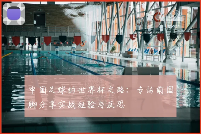 中国足球的世界杯之路:专访前国脚分享实战经验与反思