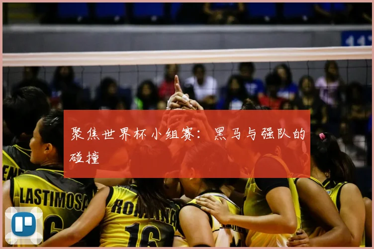 聚焦世界杯小组赛：黑马与强队的碰撞