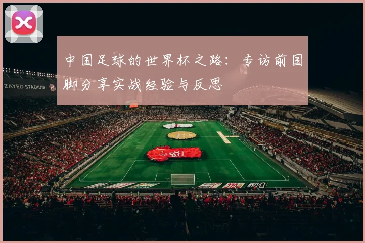 中国足球的世界杯之路:专访前国脚分享实战经验与反思