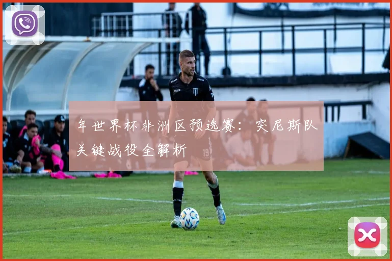 年世界杯非洲区预选赛:突尼斯队关键战役全解析